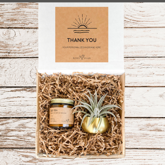 Gift Box | Gold Votive + Air Plant + Soy Candle | Choose Your Occasion