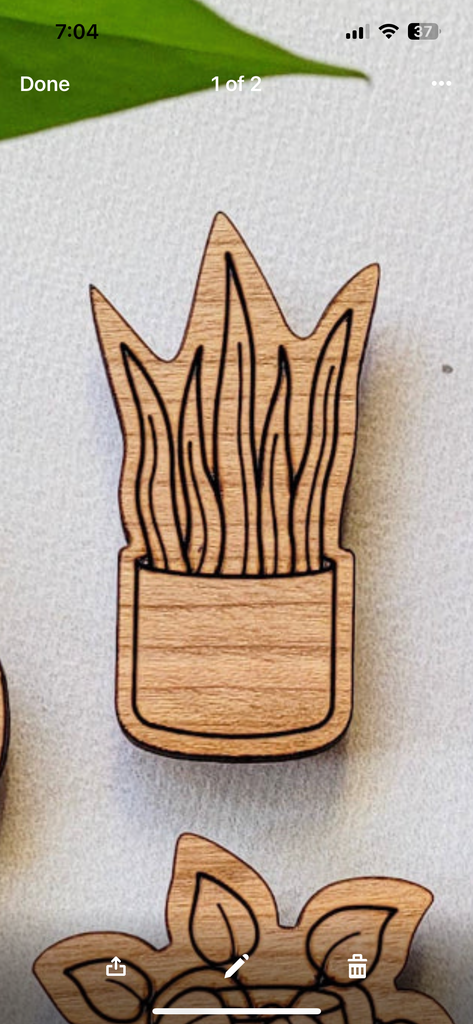 Wood Plant Magnet