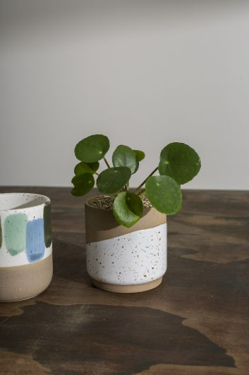 Cafe Mug and Plant Pot