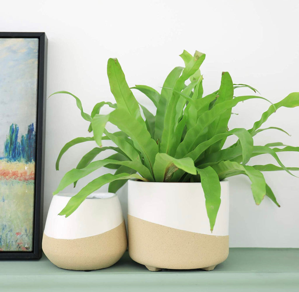 Sand Glaze Plant Pot