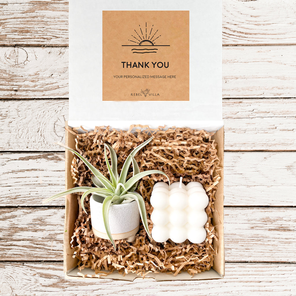 Bubble Candle Gift Box | Air Plant + Candle | Choose Your Occasion