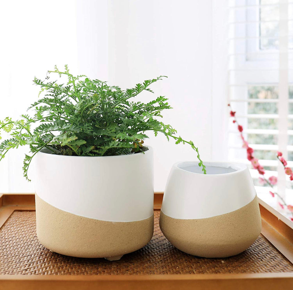 Sand Glaze Plant Pot