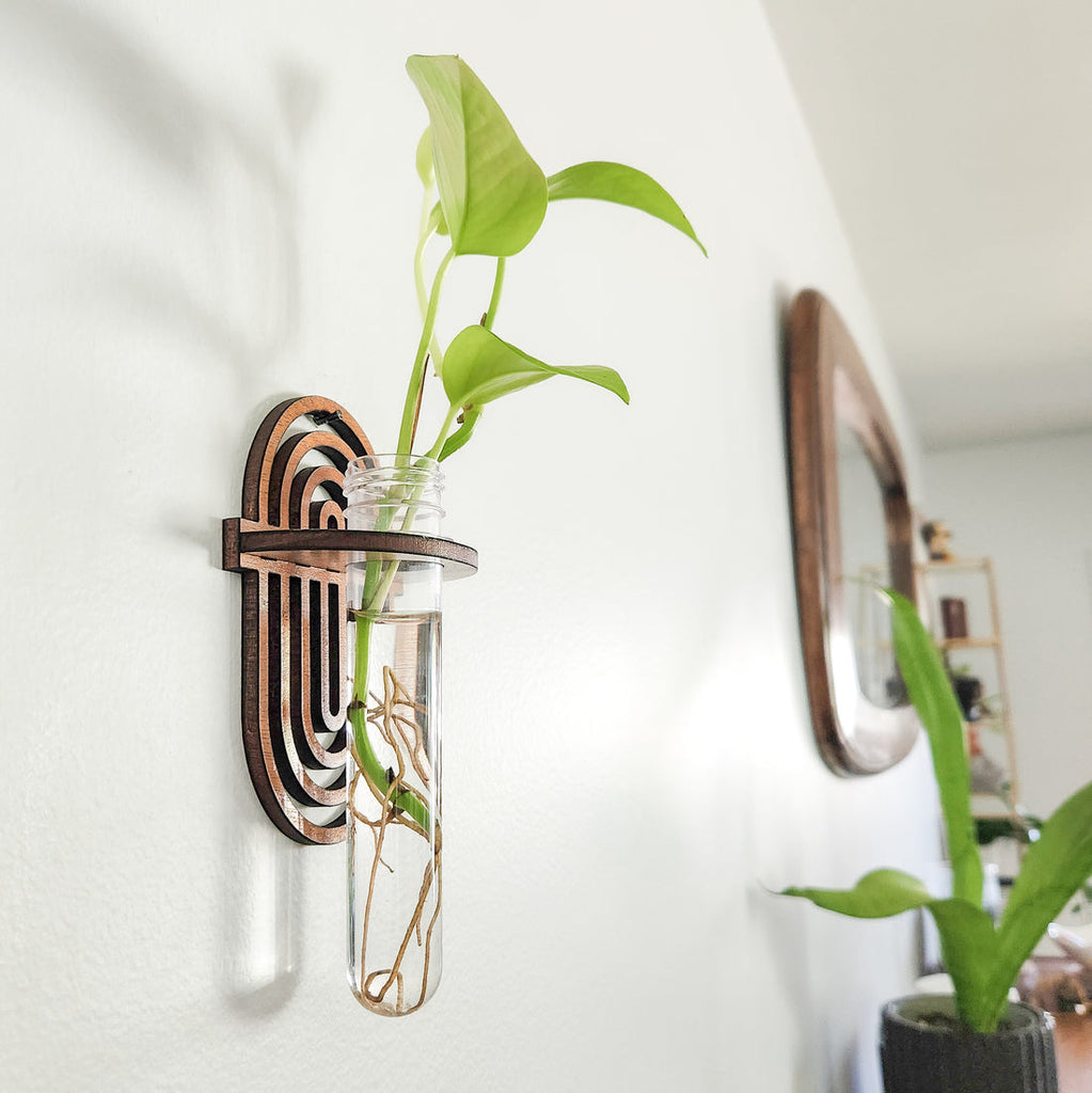 Arch Propagation Station