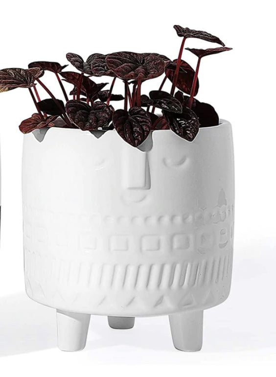 Footed Face Planter Pot