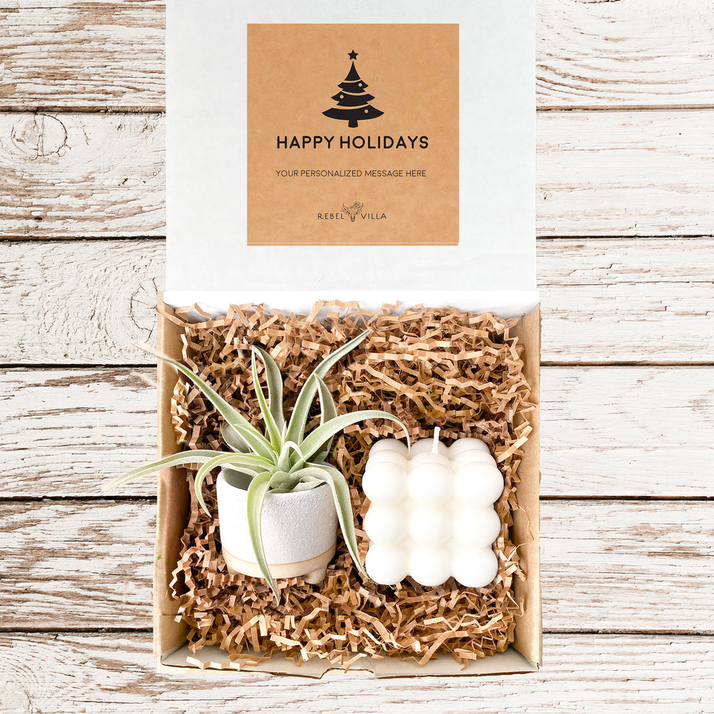 Happy Holidays Bubble Candle Gift Box | Air Plant + Cube Bubble Candle