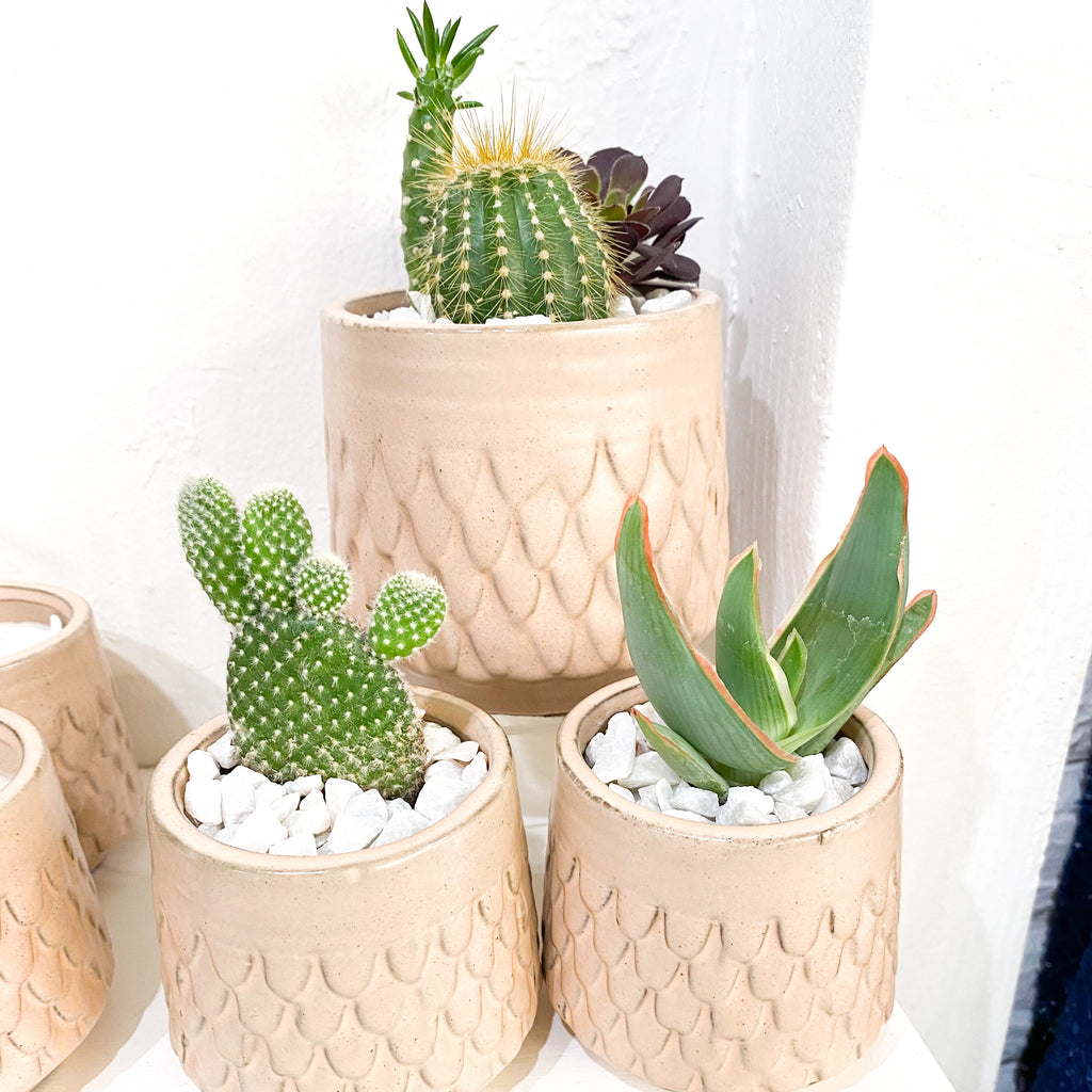 Mermaid Plant Pot