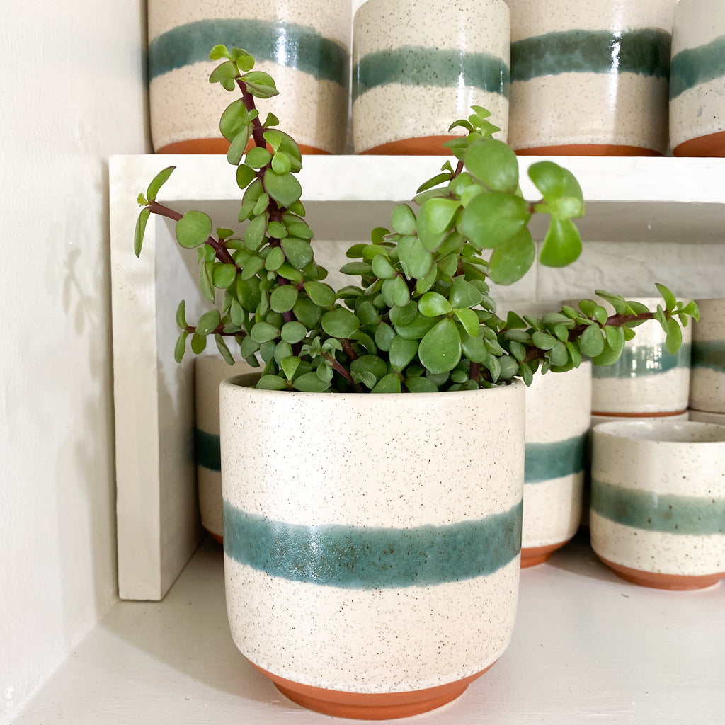 Mateo Plant Pot
