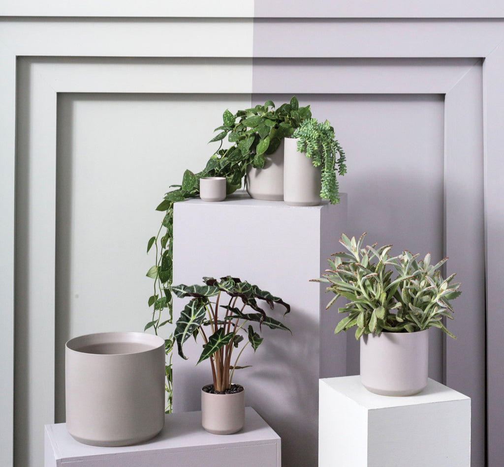 Kendall Collection | Grey