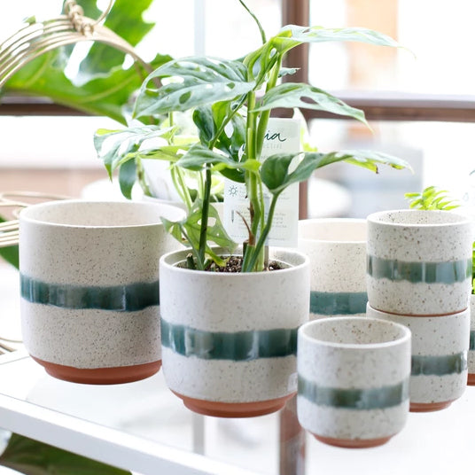 Mateo Plant Pot