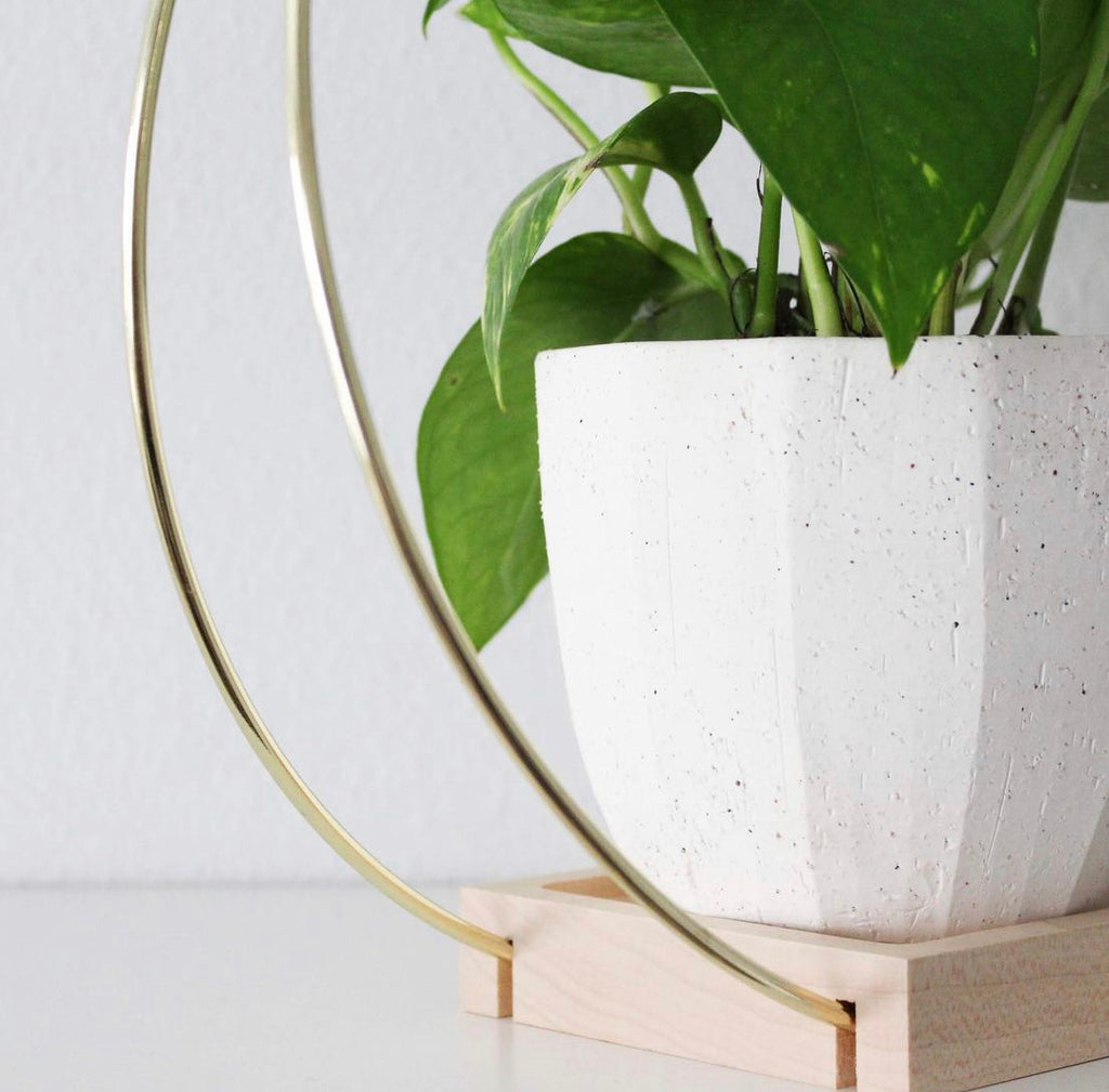 BRAID AND WOOD | Plant Hanger (Medium)