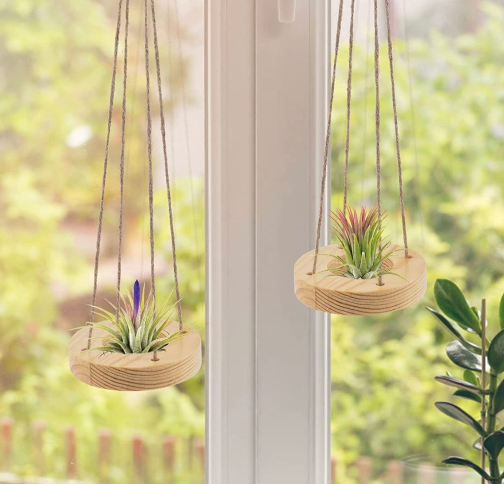 Wood Ring and Twine Air Plant Hanger
