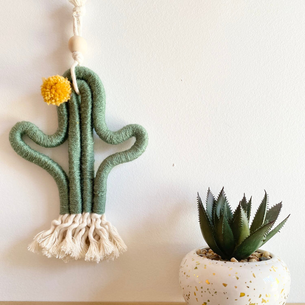 The Succulent | Macrame Cactus Kit