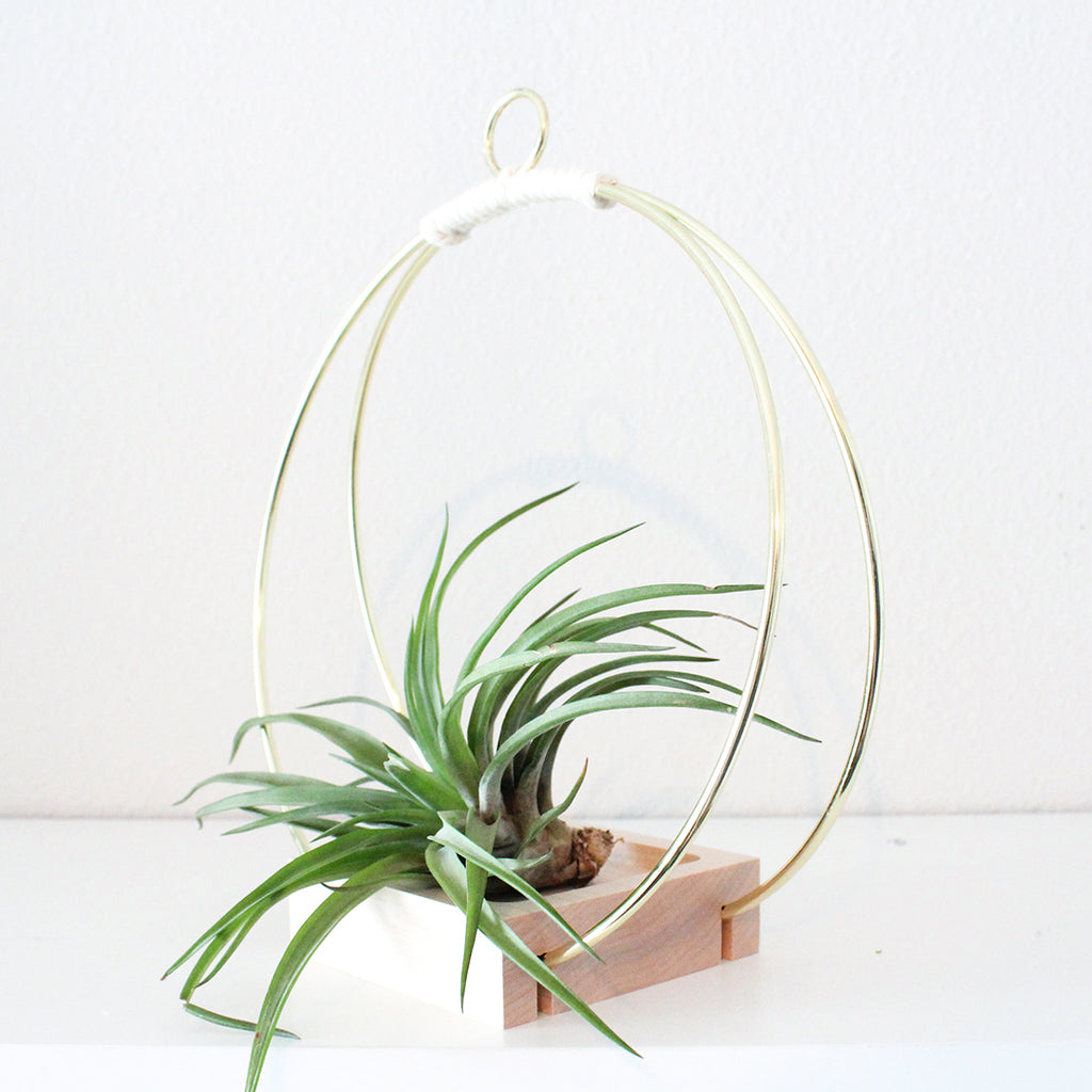 BRAID AND WOOD | Plant Hanger (Medium)