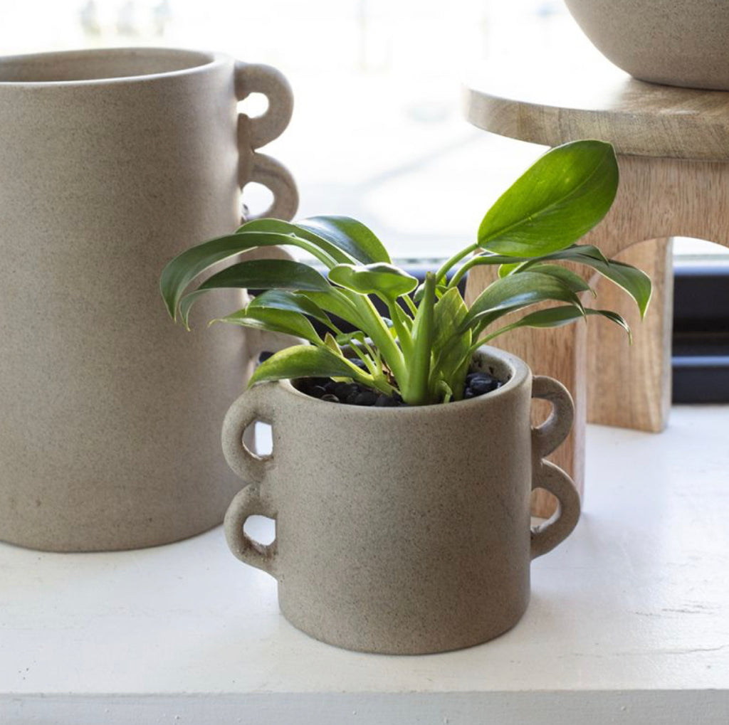 Cassia Plant Pot