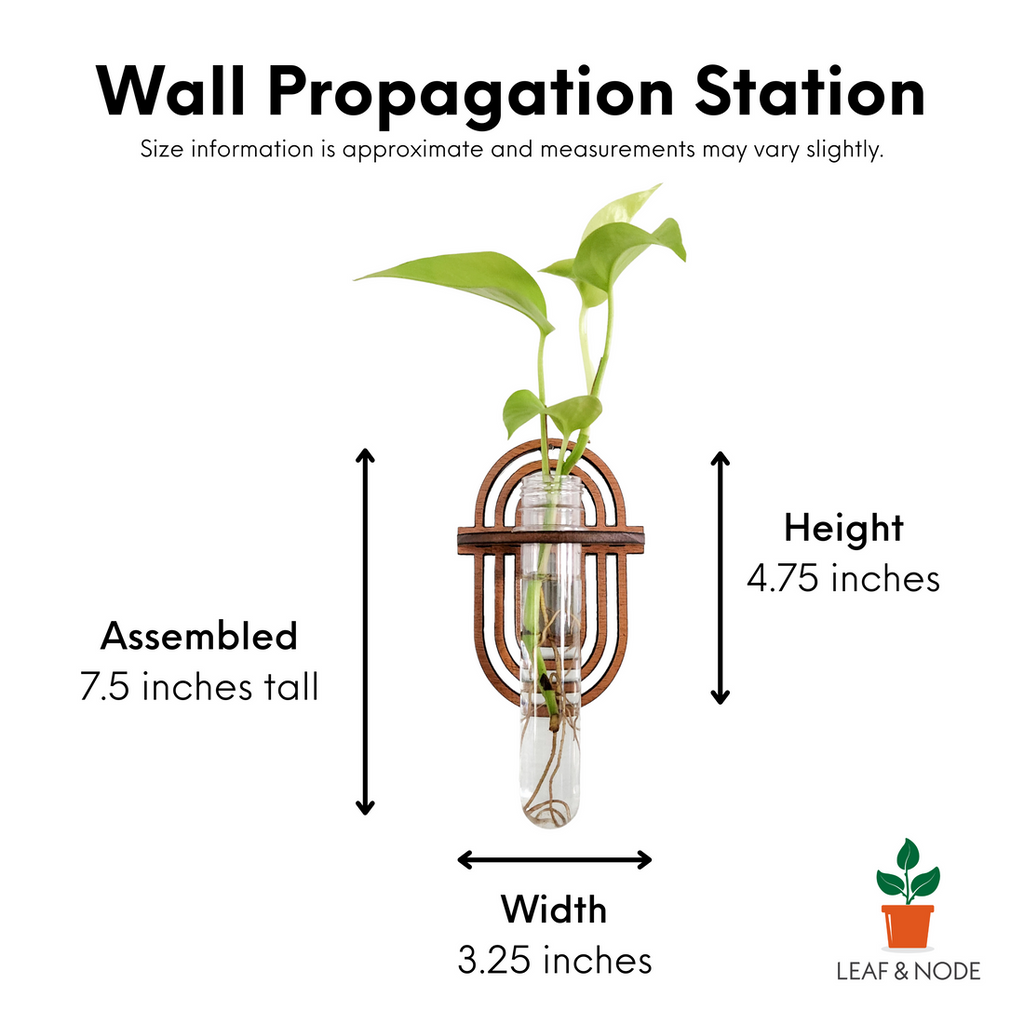 Arch Propagation Station