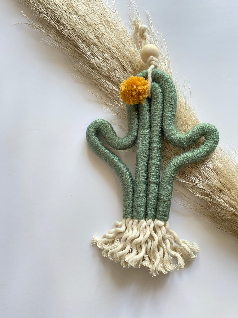 The Succulent | Macrame Cactus Kit
