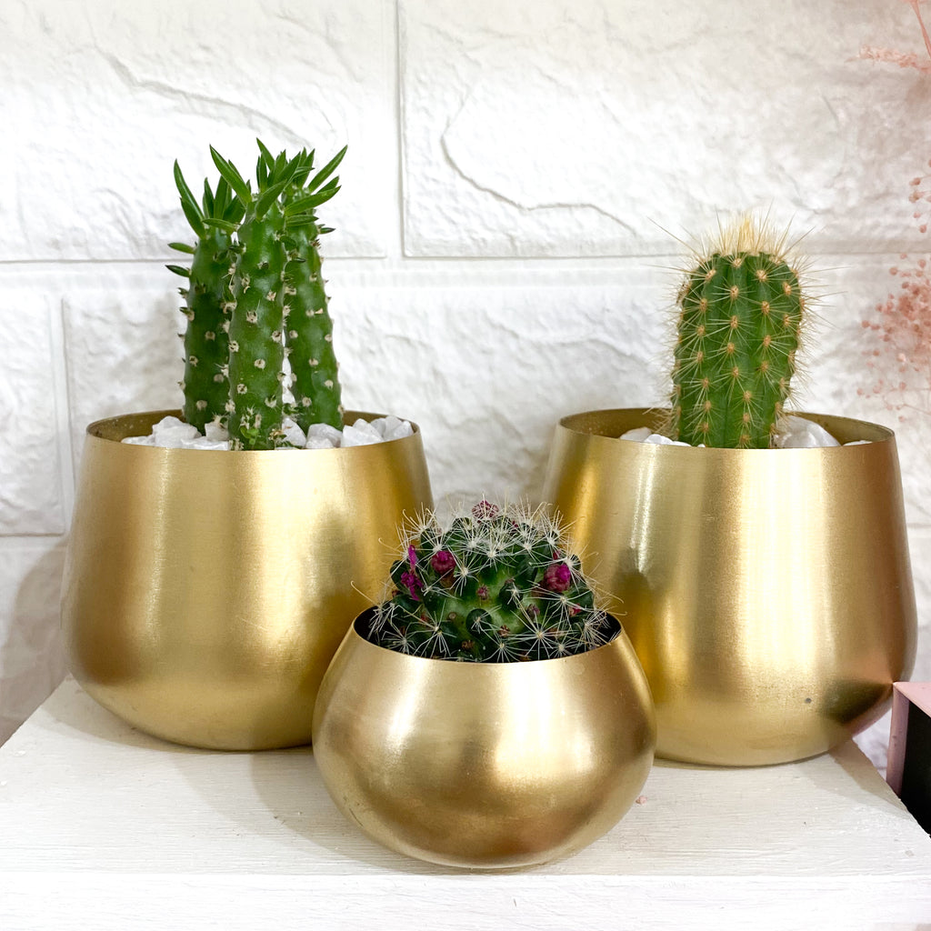 Medium Gold Votive Candle Holder