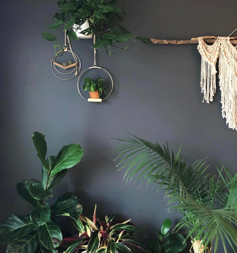 BRAID AND WOOD | Plant Hanger (Medium)