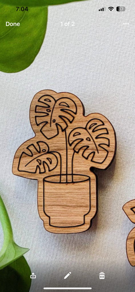 Wood Plant Magnet