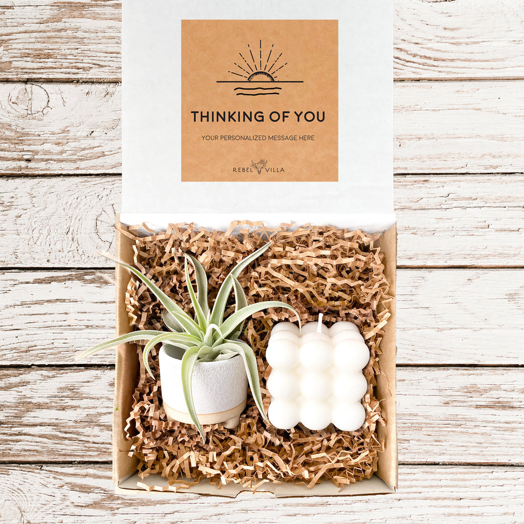 Bubble Candle Gift Box | Air Plant + Candle | Choose Your Occasion