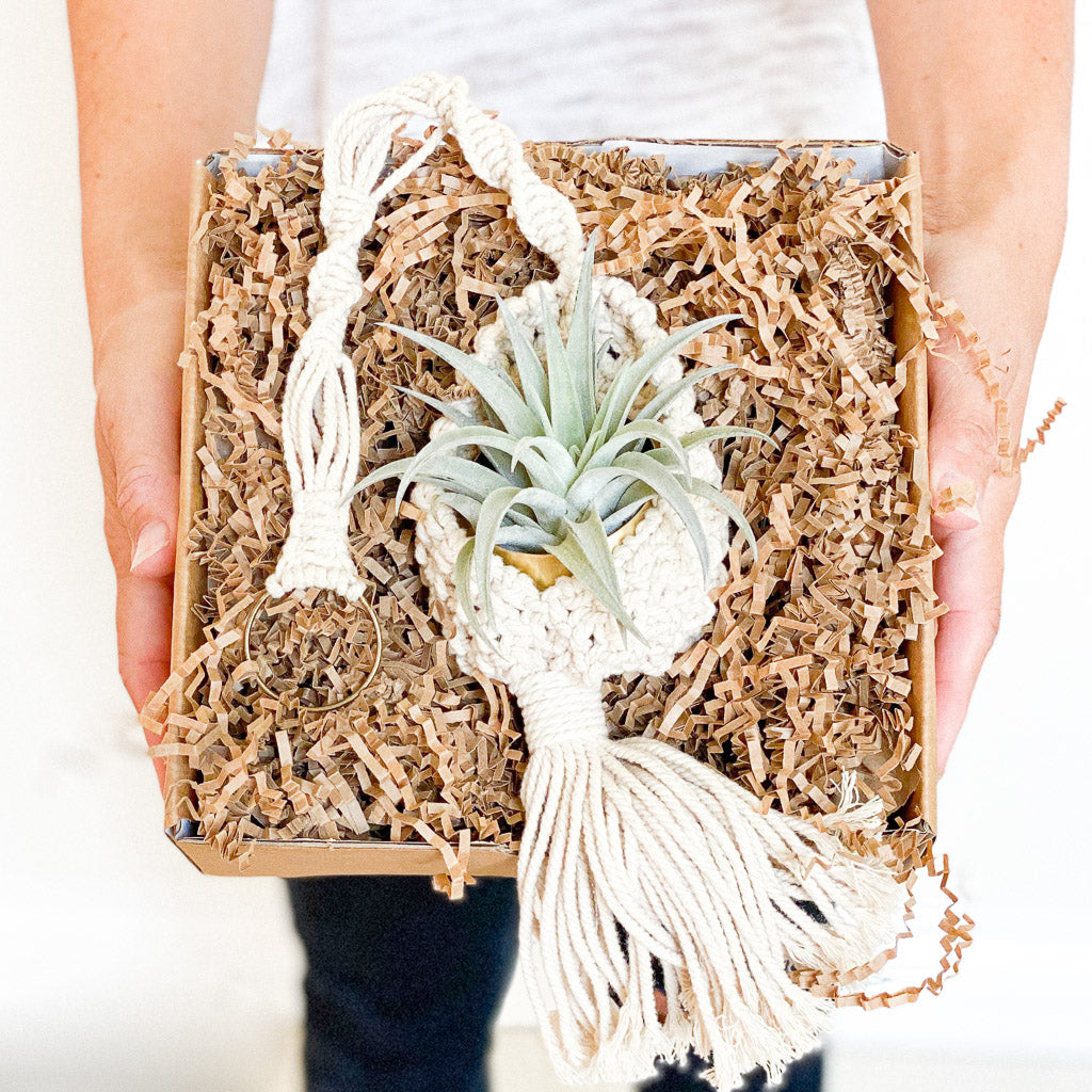Bella Holiday Gift Box Set | Macrame Wall Hanging + Gold Votive + Live Air Plant