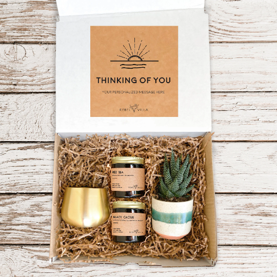 Succulent Gift Box | Live Plant + Soy Candles + Gold Votive  | Choose Your Occasion