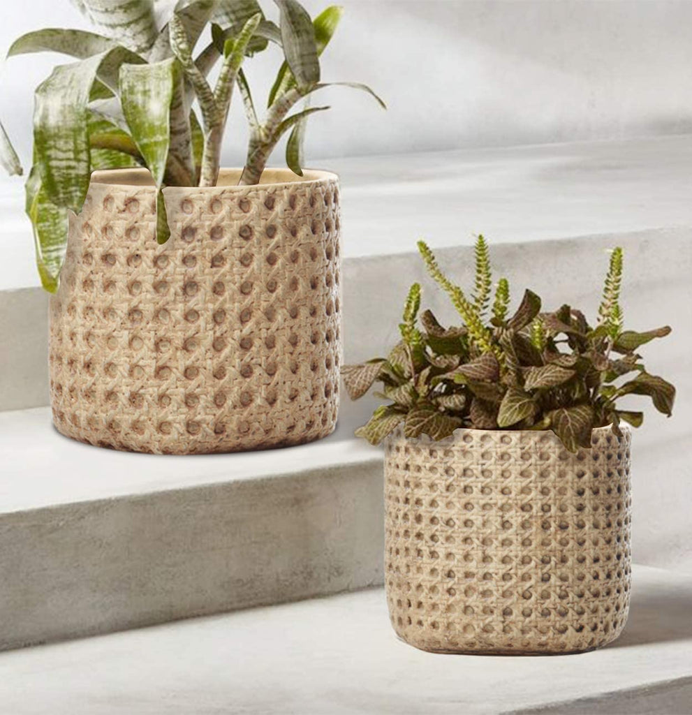 Woven Cane Ceramic Planter